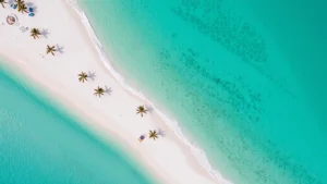 Aerial coastal photography showing Gulf of Mexico turquoise waters meeting white sandy beach with scattered palm trees and beach umbrellas